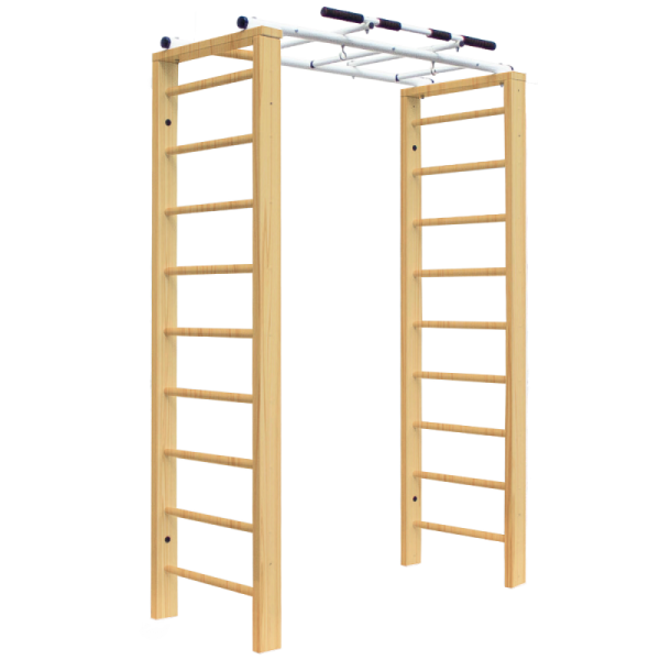 Домашний комплекс с рукоходом Luca